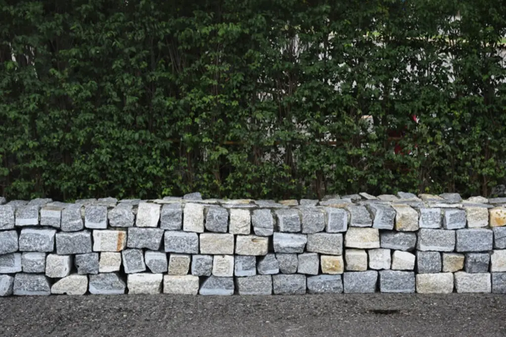 A low retaining wall made of neatly stacked square stone blocks, set against a background of dense green foliage.