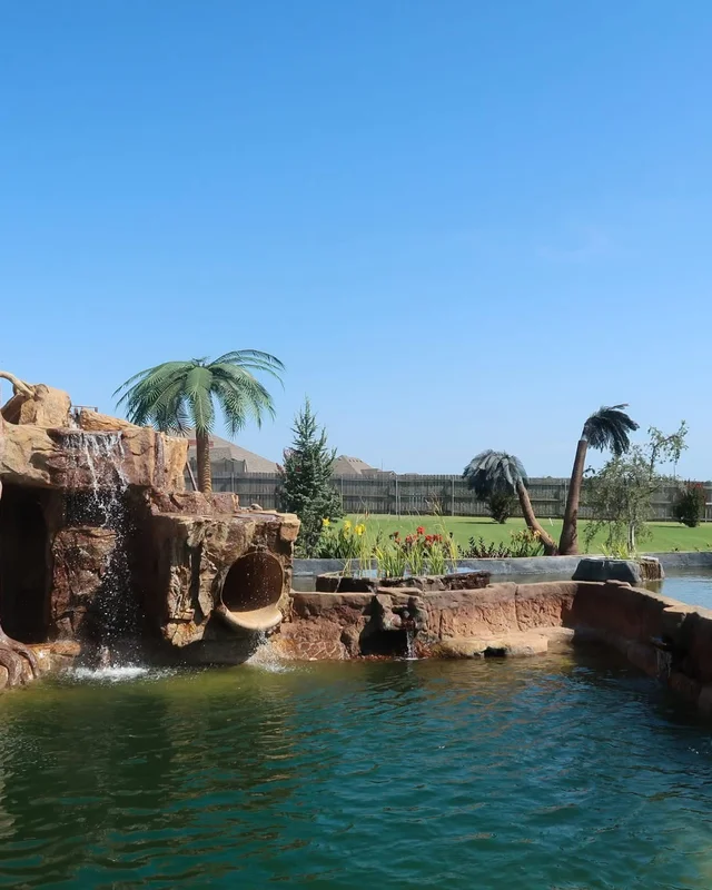 A natural swimming pool with custom water features and greenery around A natural swimming pool with custom water features and greenery around